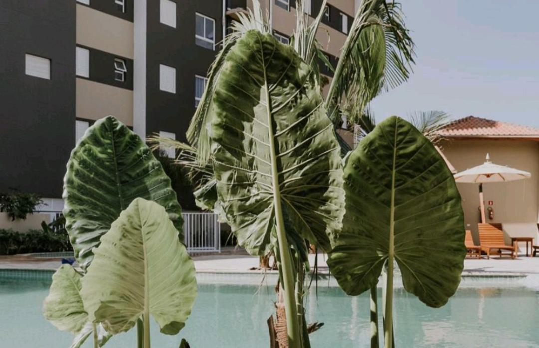 Jardim Das Palmeiras II Home Resort Ubatuba Esterno foto